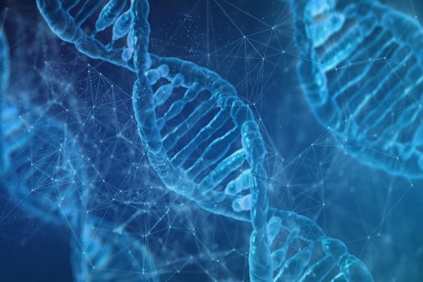 基因筛查技术可以显著提高试管婴儿的成功率