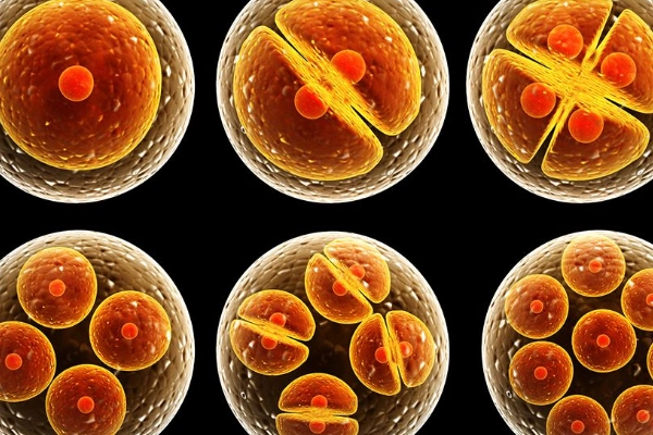 生物标记与激素监测
